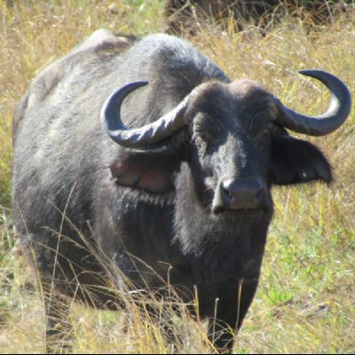 IMG_1289