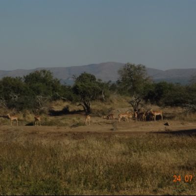 DSC02404